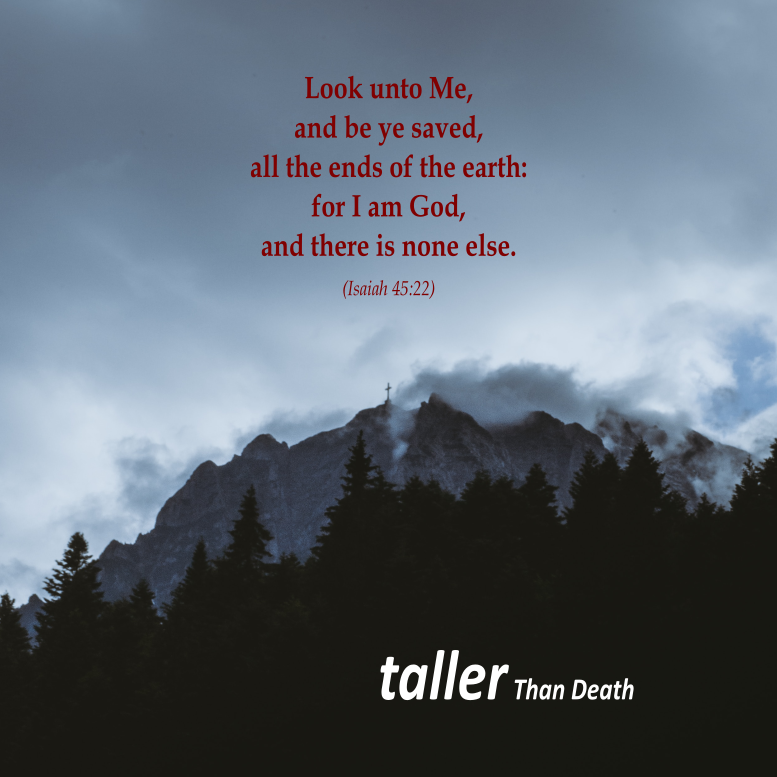 taller Than Death